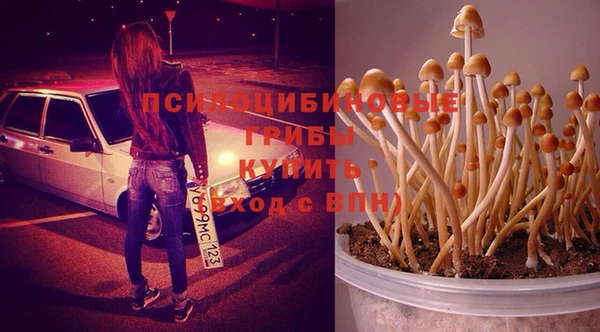 jwh Аркадак